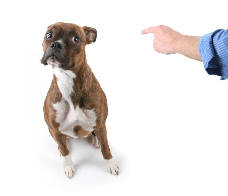 Property property / varying property