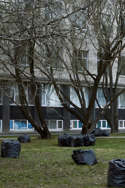 A group of black rubbish bags filled with waste are scattered across a grassy area in front of a multi-storey residential building. The bags are made of durable plastic, appear to be tightly sealed, and are positioned in various orientations on the lawn. Behind the bags, there are leafless trees with dark, textured trunks and sprawling branches that partially obscure the building’s facade. The building features large windows with white frames and a mix of panels in dark and light tones, contributing to a modern architectural style. The environment suggests an outdoor waste collection or disposal scene, possibly related to private rubbish removal services such as those provided by Rubbish Clearance Camden, as part of an alternative to council-managed rubbish disposal. Overcast lighting and a natural setting reinforce the typical context for scheduled rubbish clearance or cleanup projects in residential areas, illustrating how residents or waste management companies handle large or bulk waste on-site.